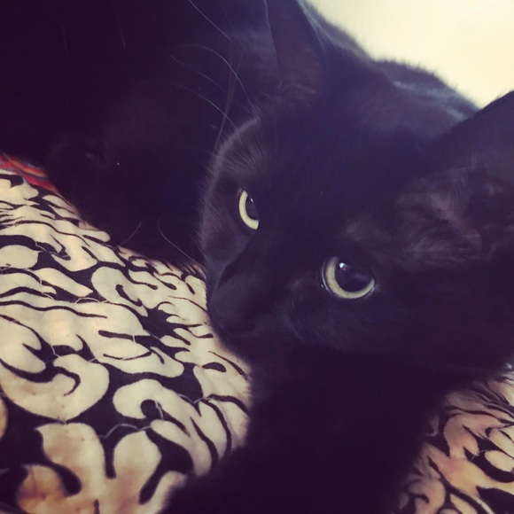 Meet your Posher, Jaimee - Picture 14 of 15